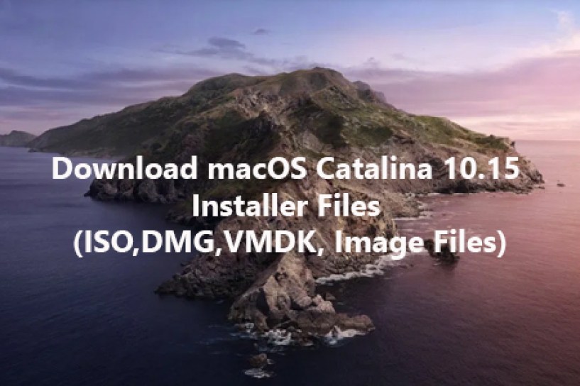 download catalina dmg on windows